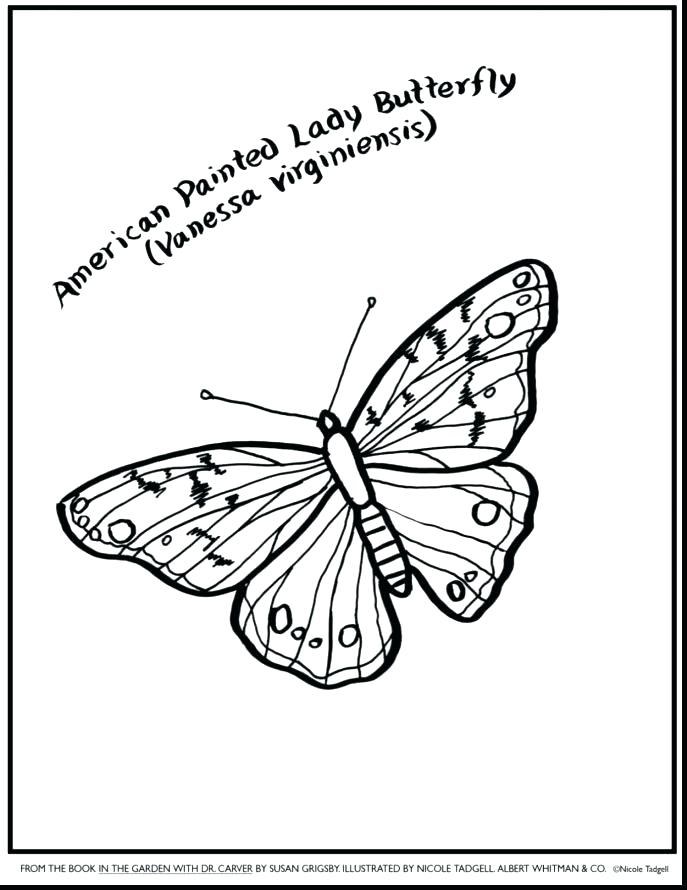 The Very Hungry Caterpillar Coloring Pages Very Hungry Caterpillar 687x890 The Very Hungry Caterpillar Coloring Pages Very Hungry Caterpillar