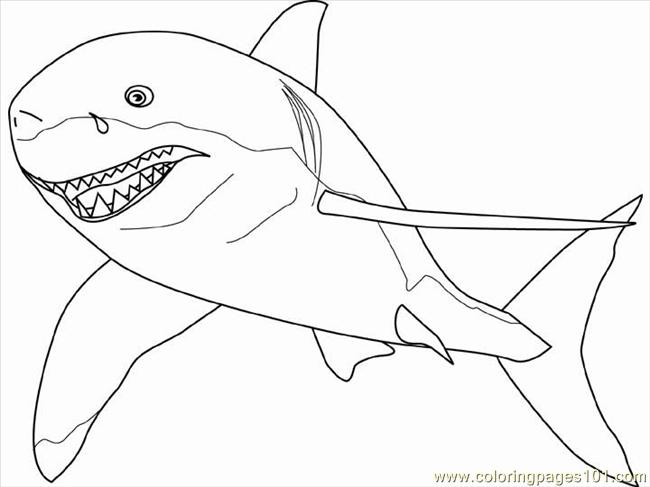 Fresh Great White Shark Coloring Pages 19 In Coloring Print 650x487 Fresh Great White Shark Coloring Pages 19 In Coloring Print