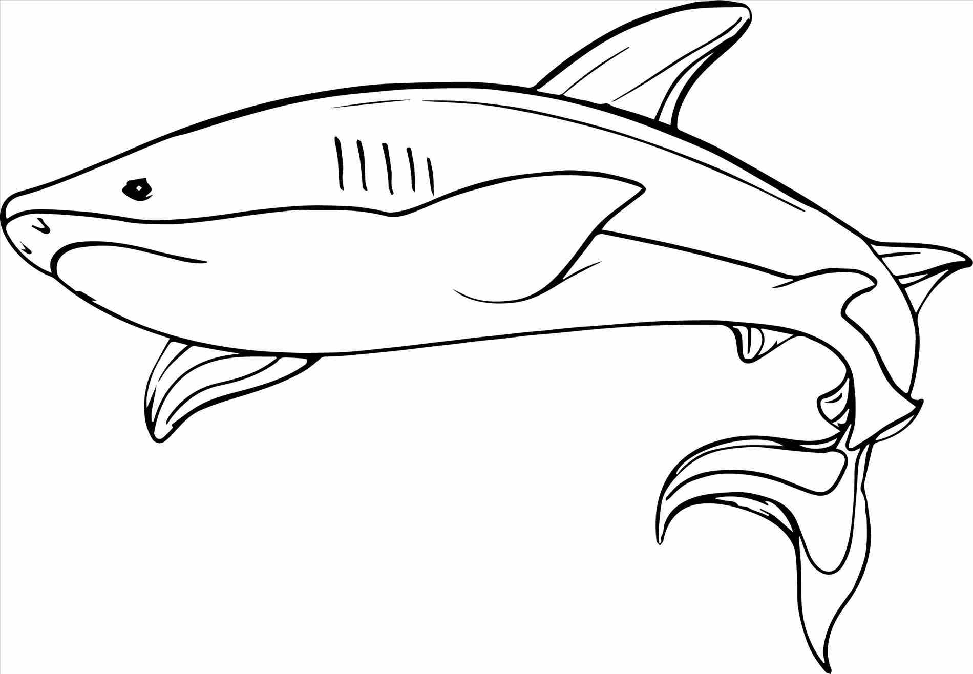 Hungry Shark Coloring Pages at GetColorings.com | Free printable ...