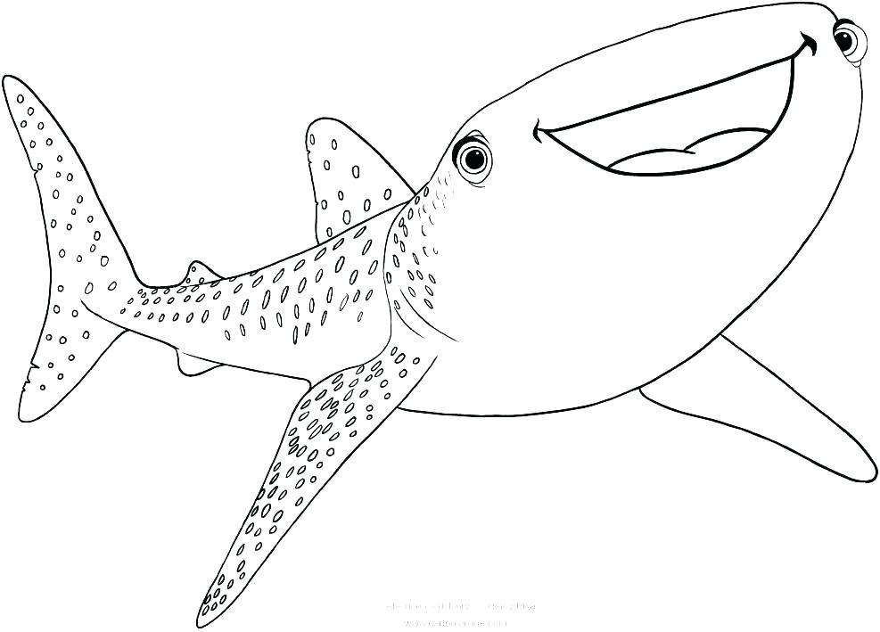 Great White Shark Coloring Pages Printable Unique And Hammerhead 987x709 Great White Shark Coloring Pages Printable Unique And Hammerhead
