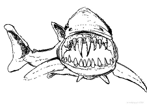 Hideous Long And Sharp Jaws Coloring Pages Best Place To Color 600x434 Hideous Long And Sharp Jaws Coloring Pages Best Place To Color