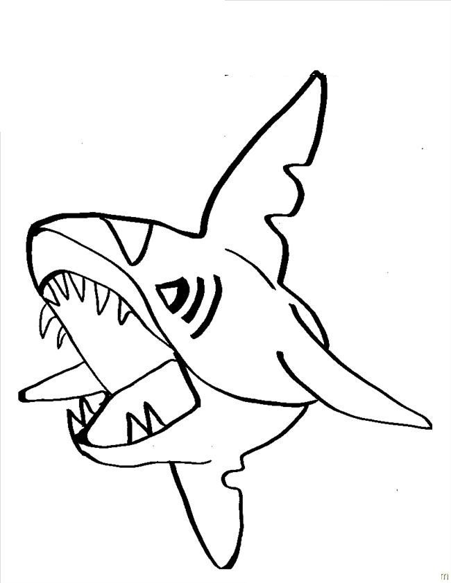 Mejores 73 De Shark Coloring Pages En 650x841 Mejores 73 De Shark Coloring Pages En