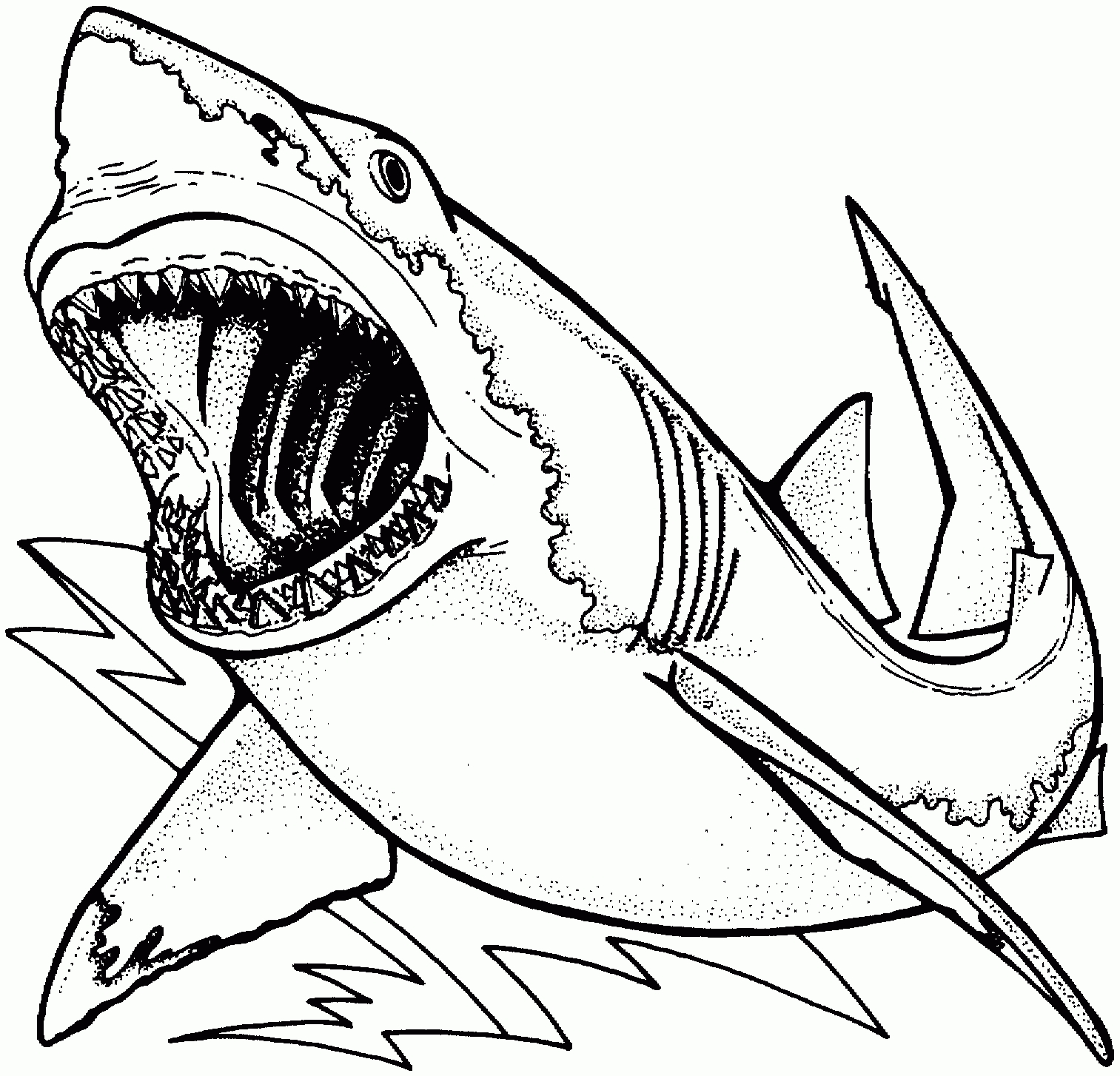 Proven Great White Shark Colouring Pages Coloring 2 1513x1454 Proven Great White Shark Colouring Pages Coloring 2