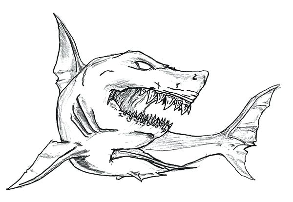 Shark Coloring Pages Free Free Coloring Pages Sharks Coloring 600x414 Shark Coloring Pages Free Free Coloring Pages Sharks Coloring