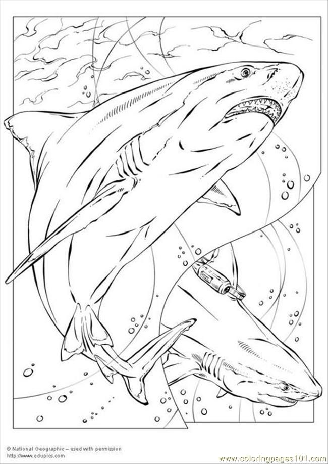 Sharknado Coloring Pages 650x918 Sharknado Coloring Pages