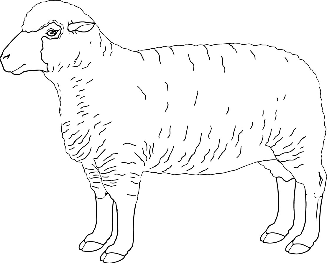 Free Feed My Sheep Coloring Page Nice Pages 77 1109x892 Free Feed My Sheep Coloring Page Nice Pages 77