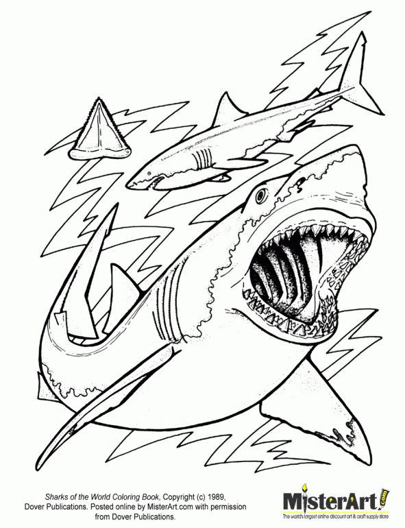 Hungry Shark Evolution Coloring Pages 591x770 Hungry Shark Evolution Coloring Pages