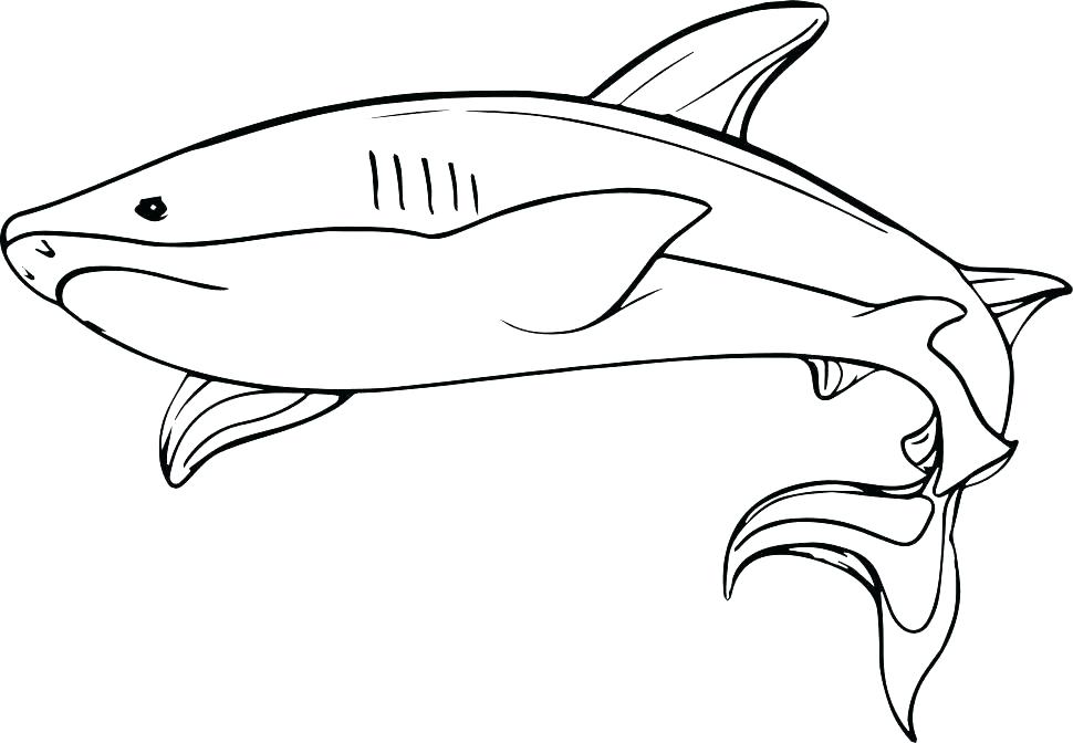 Shark Coloring Page Free Good Hammerhead On Seasonal Colouring 970x672 Shark Coloring Page Free Good Hammerhead On Seasonal Colouring