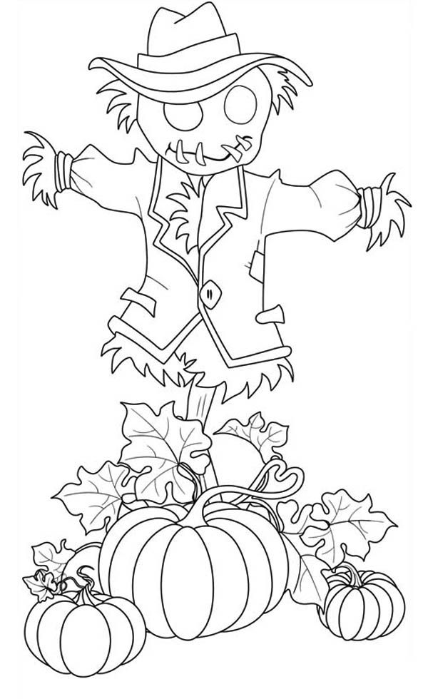 64 Best Icolor Scarecrows Images On Coloring Books 600x980 64 Best Icolor Scarecrows Images On Coloring Books