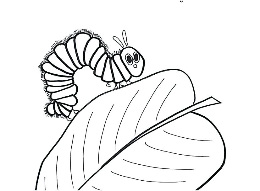 Hungry Caterpillar Coloring Pages Exquisite Decoration The Very 827x609 Hungry Caterpillar Coloring Pages Exquisite Decoration The Very