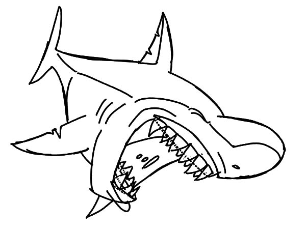 Bull Shark Jaws Coloring Pages Best Place To Color 600x456 Bull Shark Jaws Coloring Pages Best Place To Color