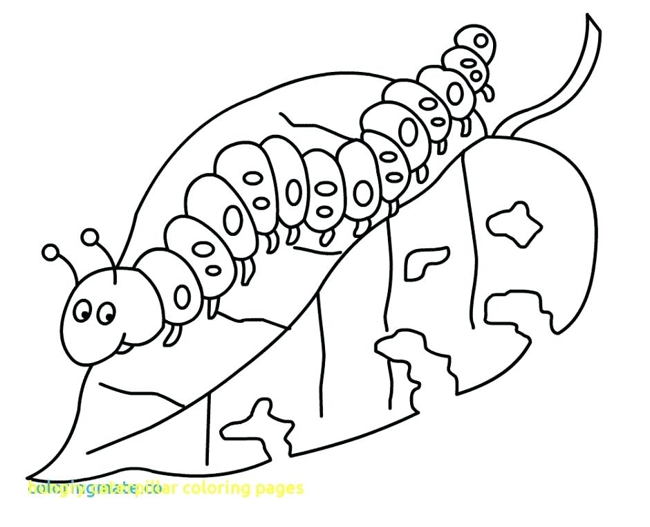 Caterpillar Coloring Pages Hungry Caterpillar Coloring Pages 940x762 Caterpillar Coloring Pages Hungry Caterpillar Coloring Pages
