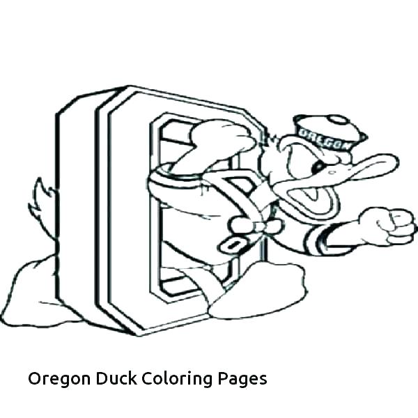 Hunting Dog Coloring Pages Hunting Dog Coloring Page Printable 600x600 Hunting Dog Coloring Pages Hunting Dog Coloring Page Printable