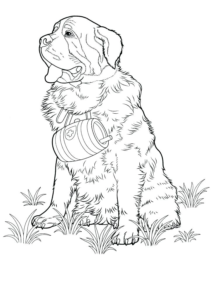 Poodle Coloring Page Poodle Coloring Page Poodle Coloring Page 736x1010 Poodle Coloring Page Poodle Coloring Page Poodle Coloring Page