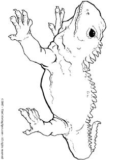Coloring Page Hunting Dog Images Hunting Dogs 236x314 Coloring Page Hunting Dog Images Hunting Dogs