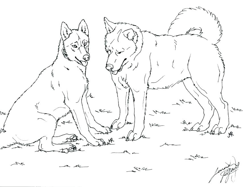 Free Dog Coloring Pages Husky Dog Coloring Pages Dog Coloring 854x658 Free Dog Coloring Pages Husky Dog Coloring Pages Dog Coloring