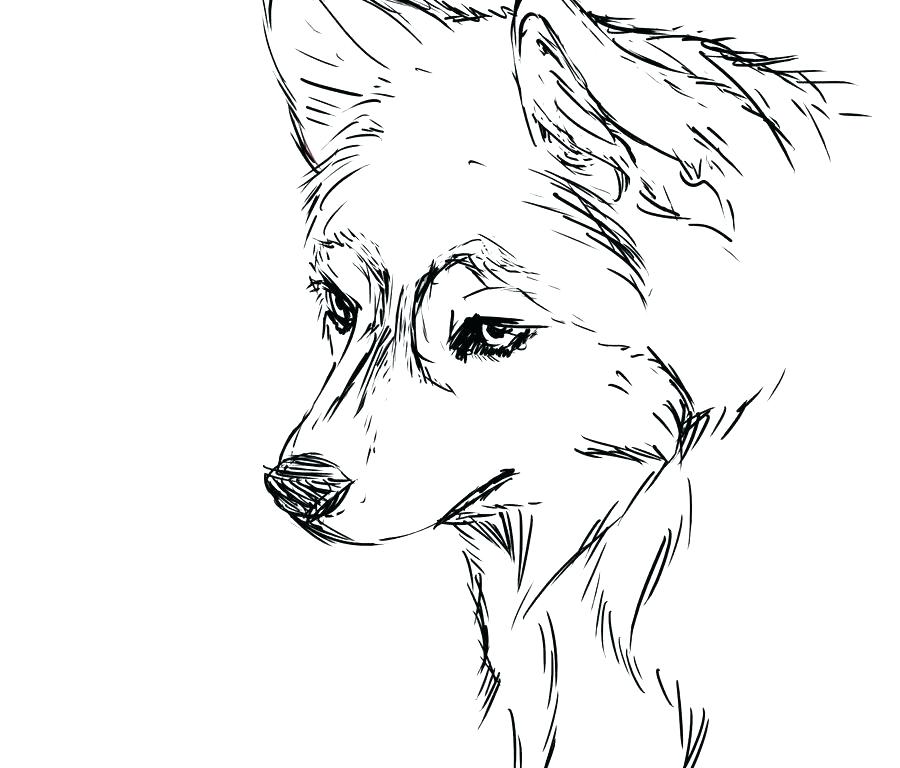 Husky Coloring Page Dog Coloring Sheets Free Printable Dog Free 900x768 Husky Coloring Page Dog Coloring Sheets Free Printable Dog Free