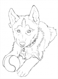 Smartness Design Husky Coloring Pages Printable To Print Football 224x302 Smartness Design Husky Coloring Pages Printable To Print Football