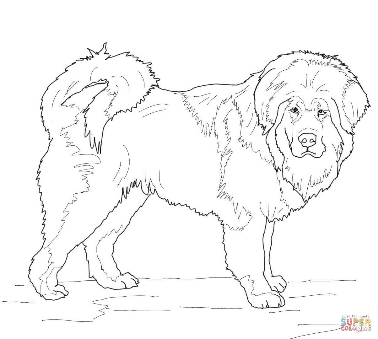 Tibetan Mastiff Coloring Pages Printable Coloring For Kids 2018 1204x1080 Tibetan Mastiff Coloring Pages Printable Coloring For Kids 2018