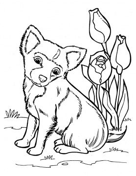 Dog Color Pages Printable Puppy Coloring Pages 278x360 Dog Color Pages Printable Puppy Coloring Pages
