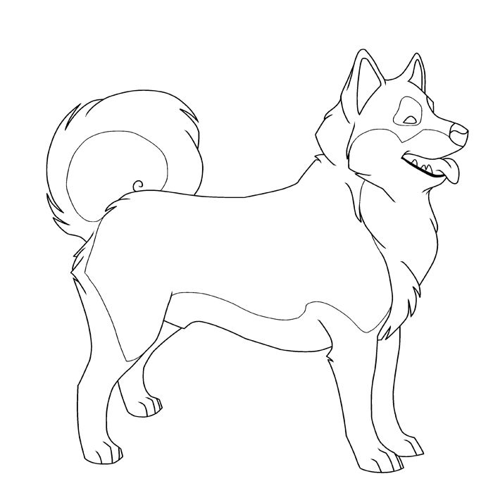 Free Printable Husky Pictures To Color Color Me Husky By 700x700 Free Printable Husky Pictures To Color Color Me Husky By