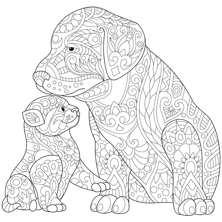 736x736 Husky Dog Coloring Pages Impair.co