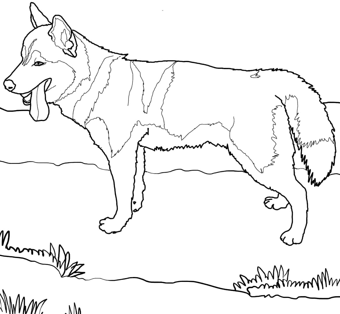 1167x1077 Challenge Rottweiler Puppies Coloring Pages Husky Puppy Photo