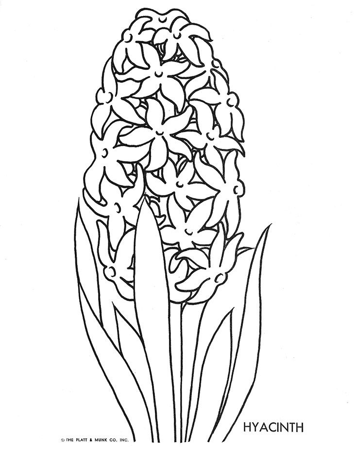 39 Best Little Flowers Crafts Images On Coloring Books 731x929 39 Best Little Flowers Crafts Images On Coloring Books