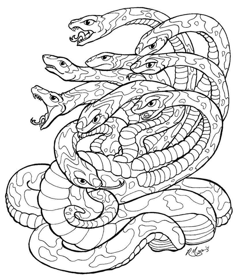 826x967 Hydra Lineart Jpg By Rachaelm5