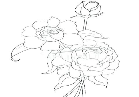 476x333 Howard B Wigglebottom Coloring Sheet Congratulations Coloring
