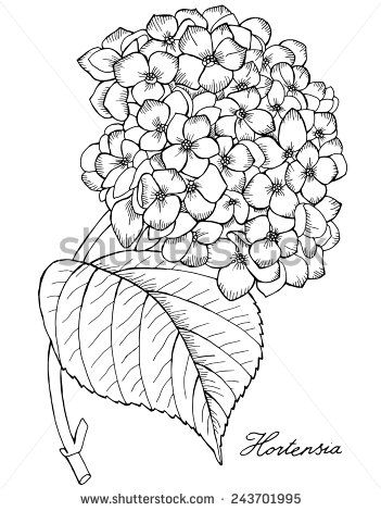 351x470 Hydrangea Glass Art