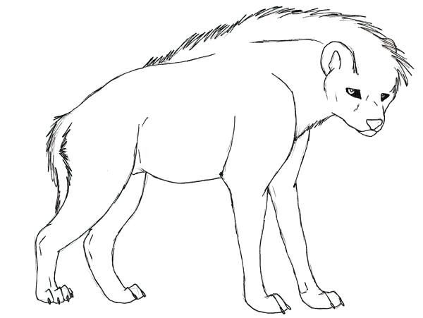 Hyena Coloring Page Coloring Pages For Kids Lion King 600x451 Hyena Coloring Page Coloring Pages For Kids Lion King
