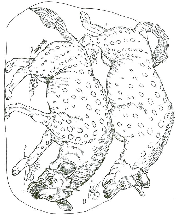 Hyena Coloring Page Pages Hyenas Coloring Pages Lion King Hyena 678x840 Hyena Coloring Page Pages Hyenas Coloring Pages Lion King Hyena