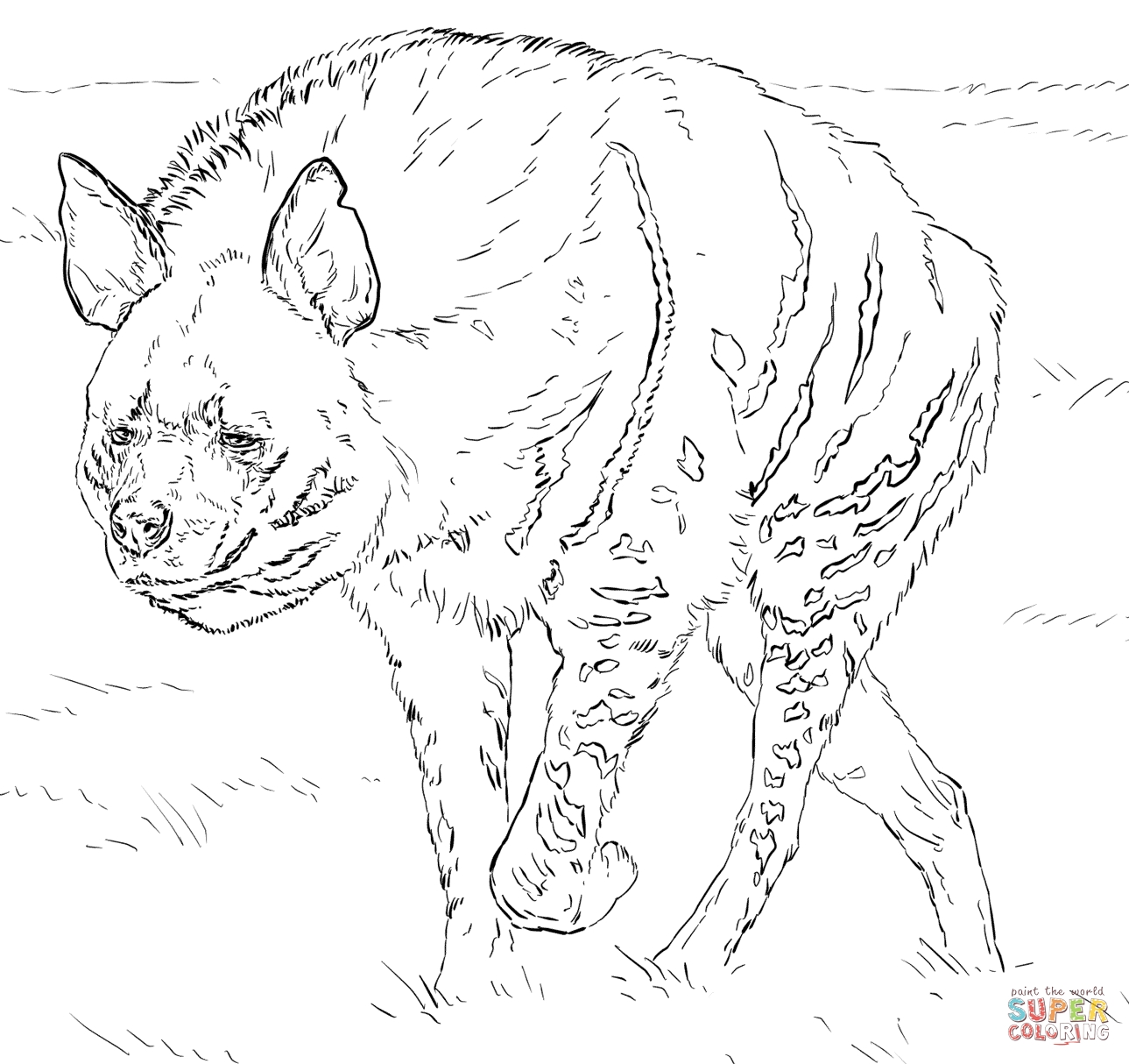 24 Hyena Coloring Pages Printable Free Coloring Pages 1289x1214 24 Hyena Coloring Pages Printable Free Coloring Pages