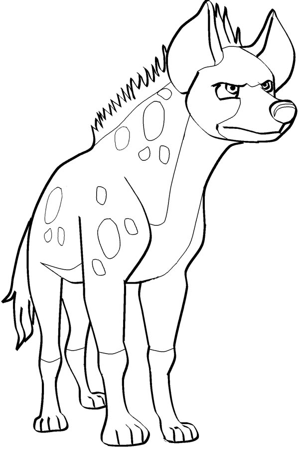 Hyena Coloring Pages 600x913 Hyena Coloring Pages