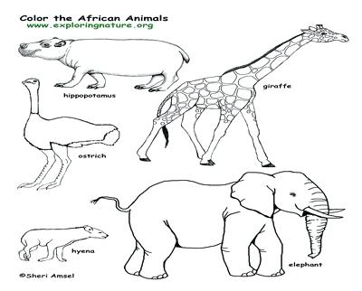 Baby Hyena Coloring Pages Hyenas Animal 400x322 Baby Hyena Coloring Pages Hyenas Animal