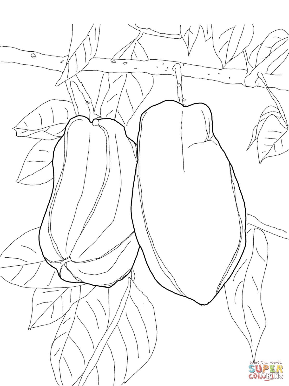 Star Fruit On Tree Super Coloring New Coloring Sheets 1200x1600 Star Fruit On Tree Super Coloring New Coloring Sheets