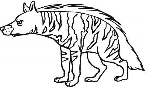 Aardwolf Colering Pages Hyenas Coloring Pages Animal Coloring 480x287 Aardwolf Colering Pages Hyenas Coloring Pages Animal Coloring