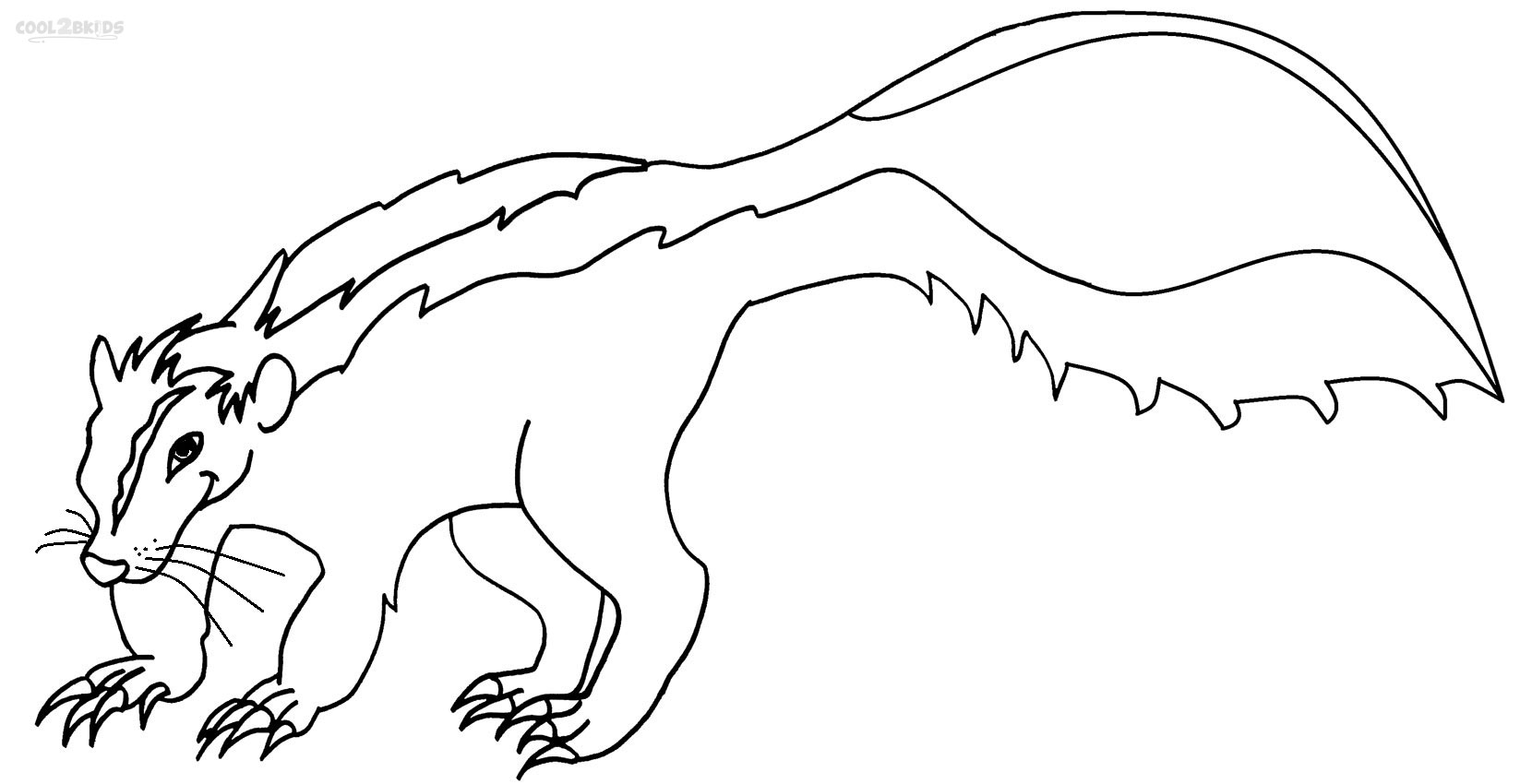 1647x850 Printable Skunk Coloring Pages For Kids Cool2bkids