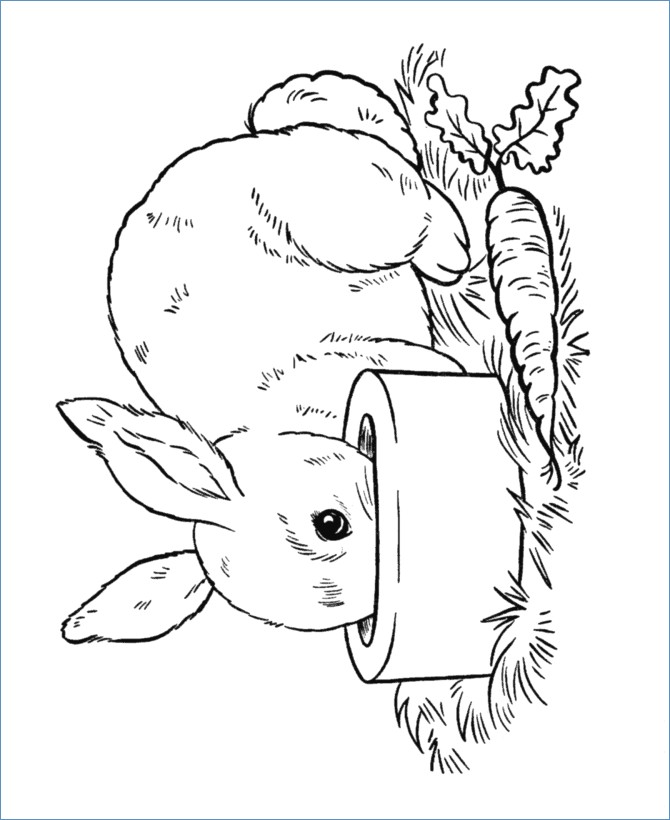 Enchanting I Love Soccer Coloring Pages Photo 670x820 Enchanting I Love Soccer Coloring Pages Photo