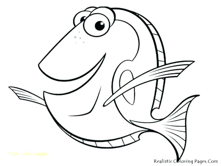 728x546 Fishing Coloring Pages Fish Fishing Coloring Pages To Print