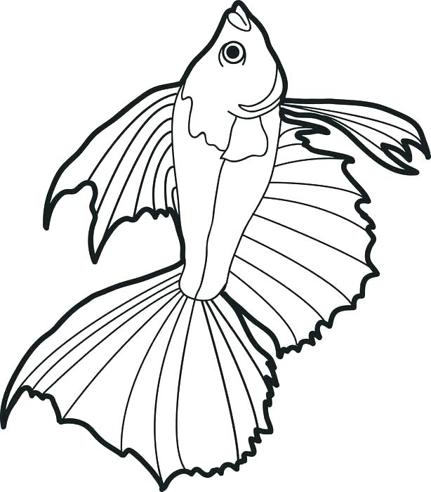 614x700 Fishing Coloring Page