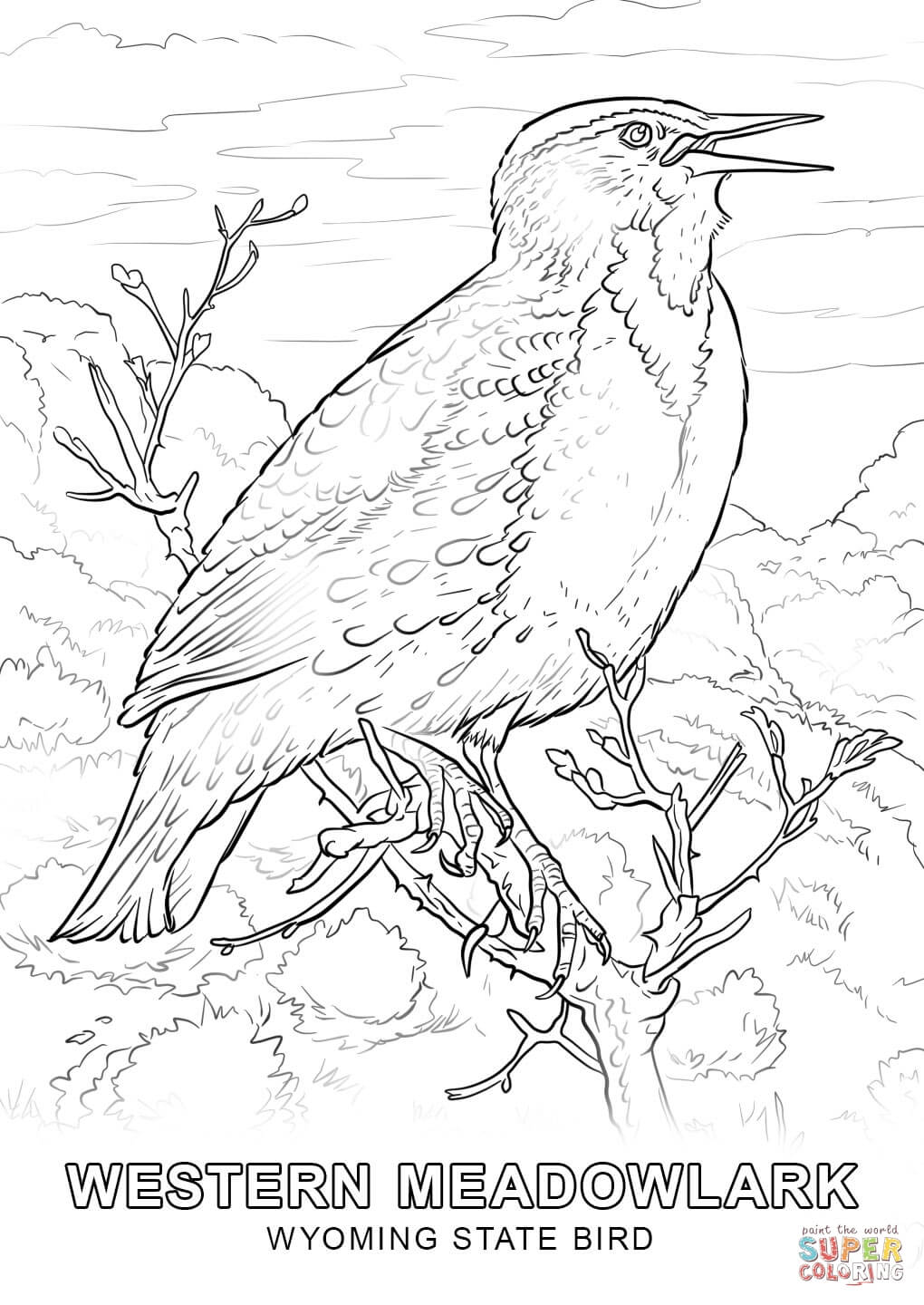 Powerful Idaho State Bird Coloring Page Wyomin 1020x1440 Powerful Idaho State Bird Coloring Page Wyomin