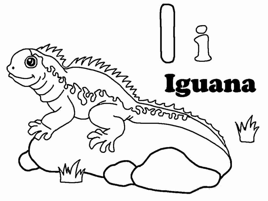 1024x768 Free Printable Iguana Coloring Pages For Kids Ripping Olegratiy