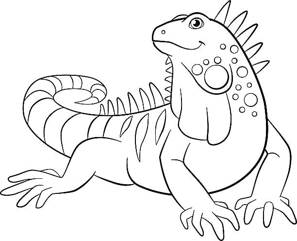 612x496 Green Iguana Coloring Pages Kids Coloring Iguana Coloring Pages
