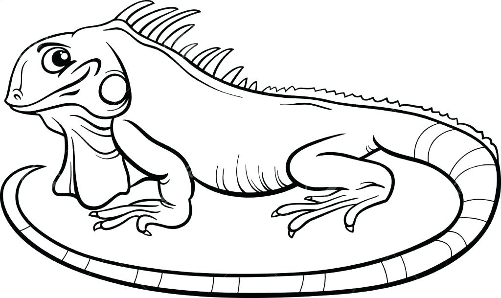 1024x609 Iguana Coloring Pages Iguana Coloring Page Good Iguana Coloring