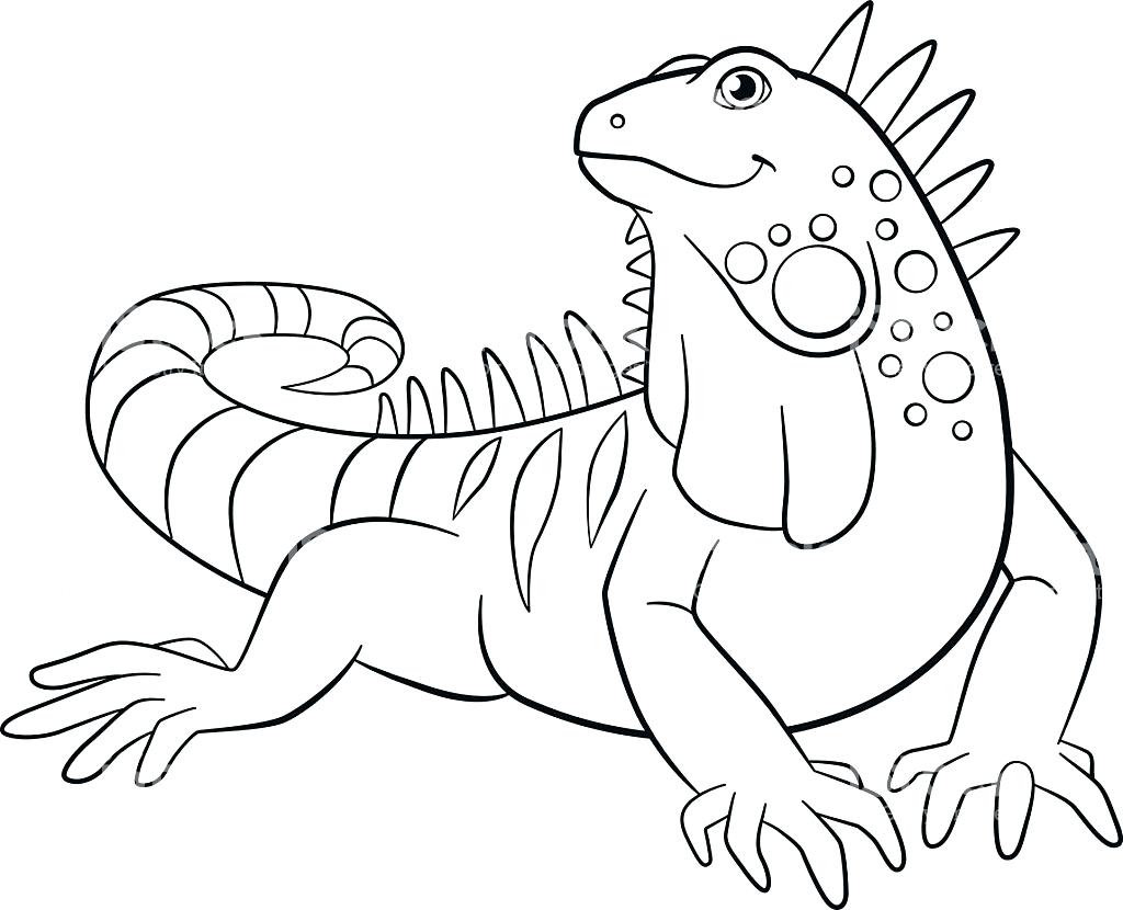 1024x830 Proven Iguana Coloring Page Pages Thanksgiving Food New Symbol