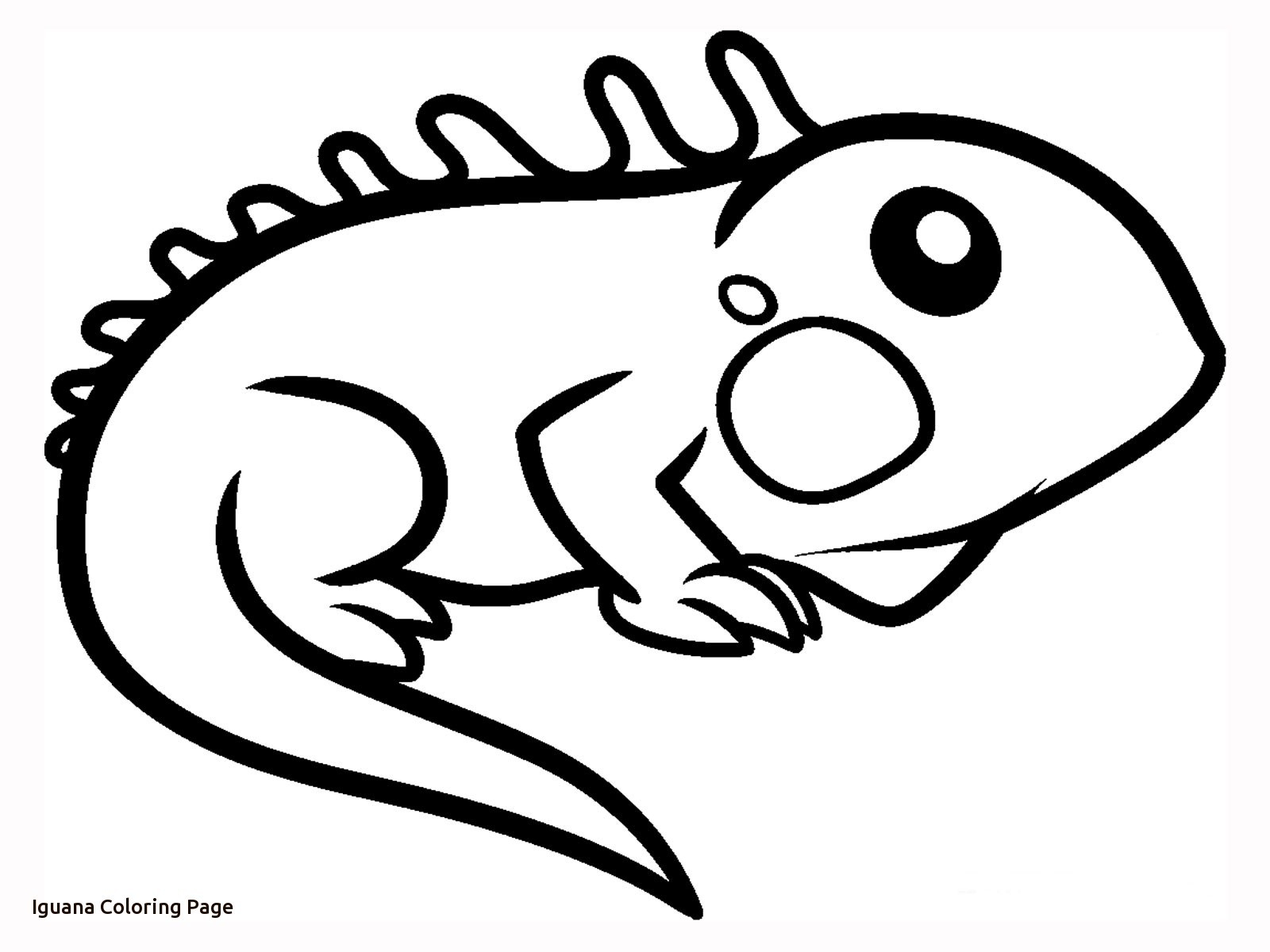 1600x1200 Best Of Iguana Page To Color Gallery Printable Coloring Sheet