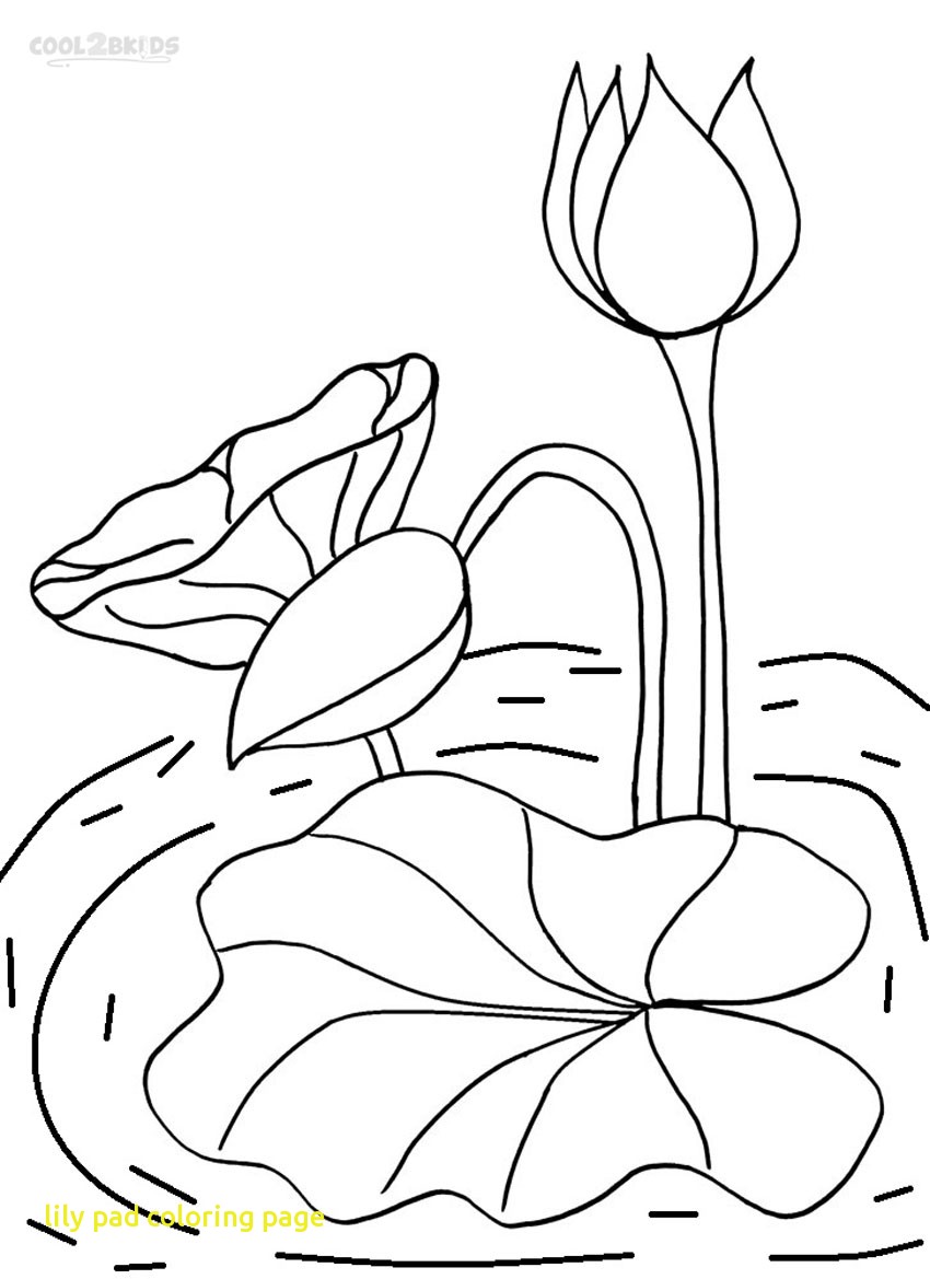 850x1169 Lily Pad Coloring Page With Printable Lily Pad Coloring Pages