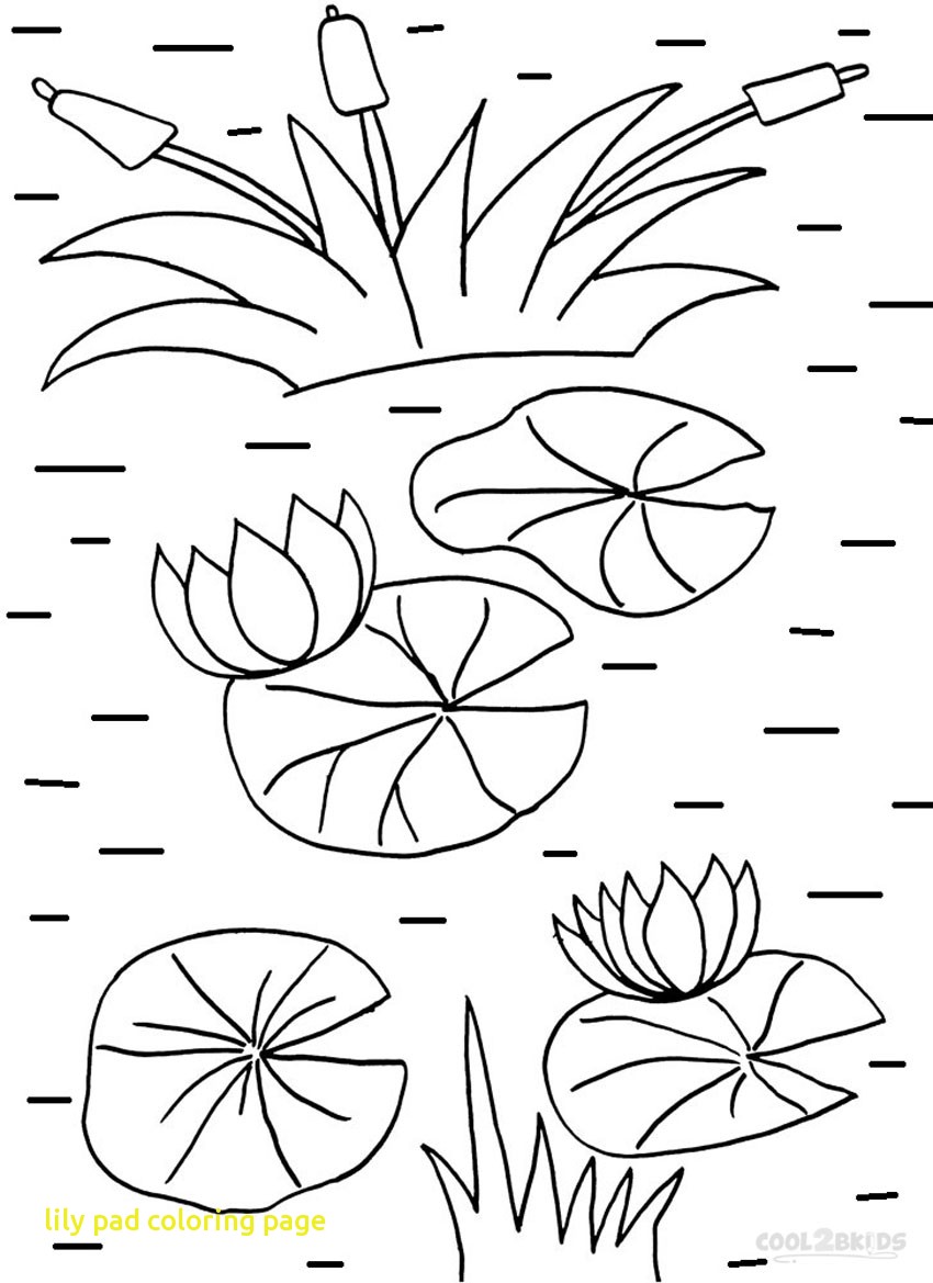 850x1169 Lily Pad Coloring Page With Water Lily And Pad Coloring Page